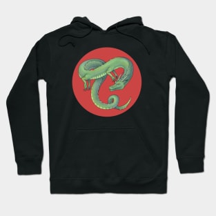 Dragon on red Hoodie